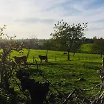 Aubepine Bed & Breakfast 3*