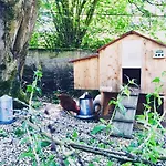 Bed & Breakfast Aubepine