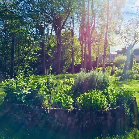 Bed & Breakfast Aubepine Sains-du-Nord