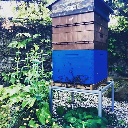 Frühstückspension Aubepine 3*