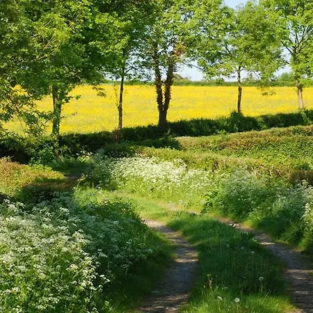 Aubepine Frühstückspension 3*