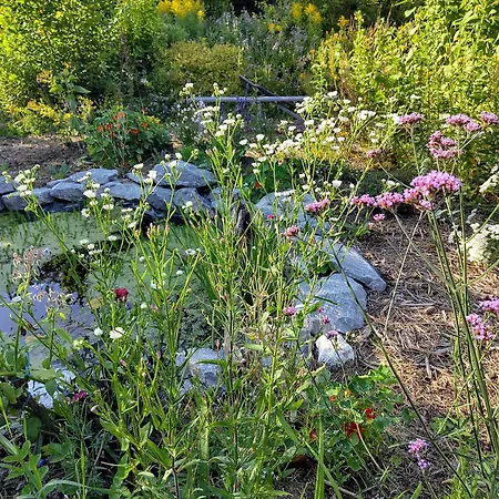 Frühstückspension Aubepine