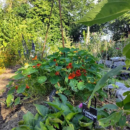 Aubepine Frühstückspension 3*