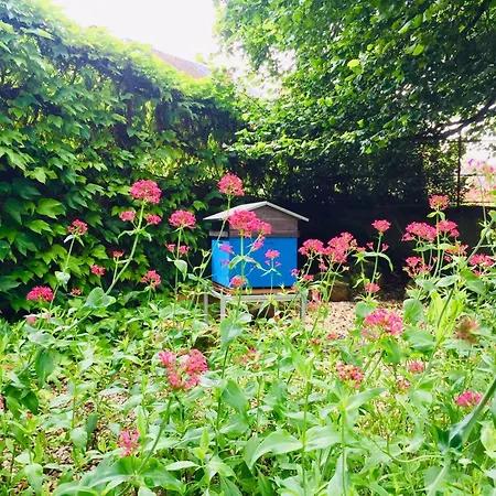 Frühstückspension Aubepine 3*