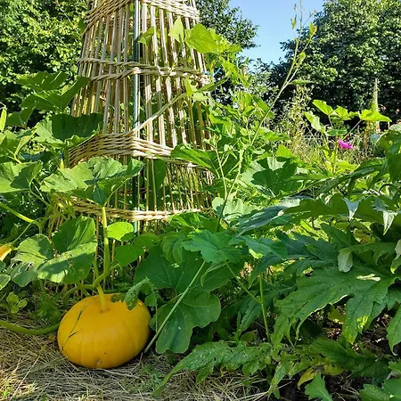 Aubepine Frühstückspension Sains-du-Nord