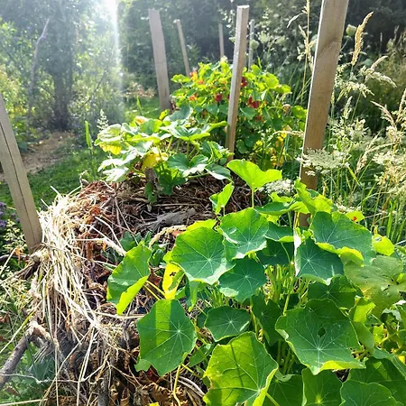 Aubepine 3* Sains-du-Nord