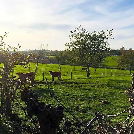Aubepine Sains-du-Nord