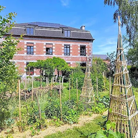 Aubepine Sains-du-Nord