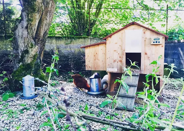 Bed & Breakfast Aubepine