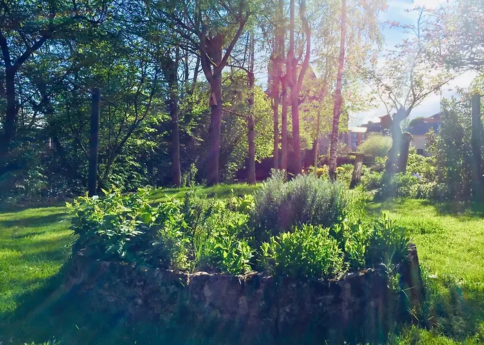 Bed & Breakfast Aubepine Sains-du-Nord