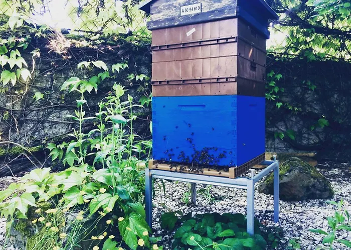 Bed & Breakfast Aubepine 3*